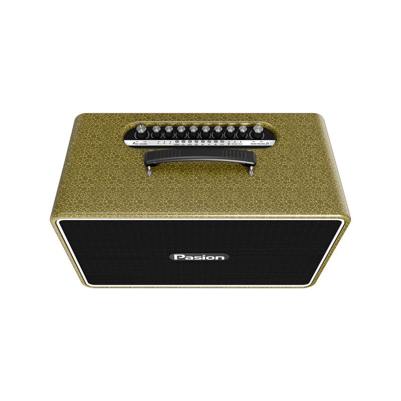 PASION_Arte_Golden_Olive_4