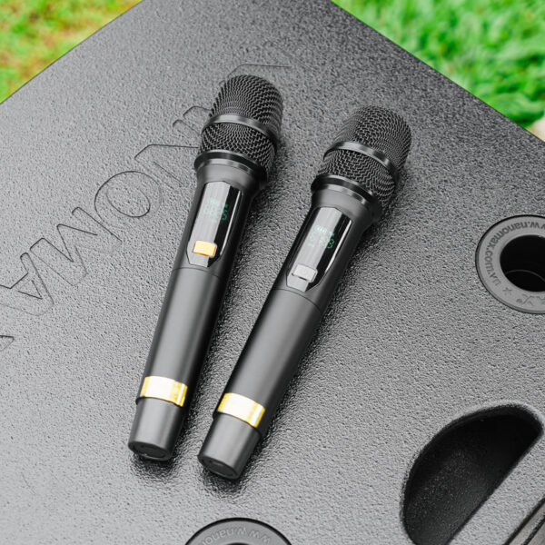 loa-keo-nanomax-a-400-14-600x600