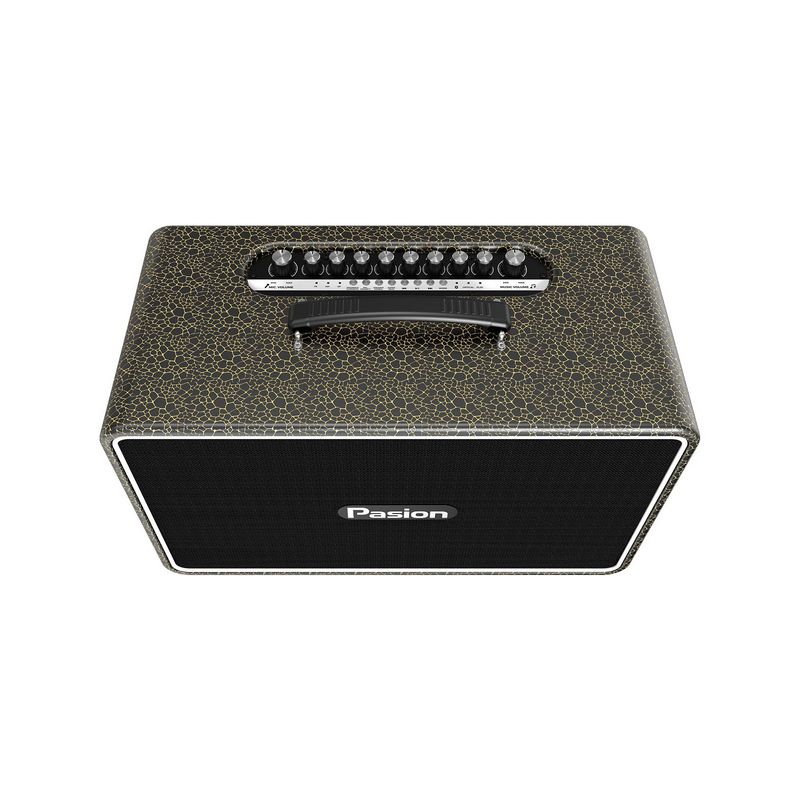 pasion_arte_golden_black_5