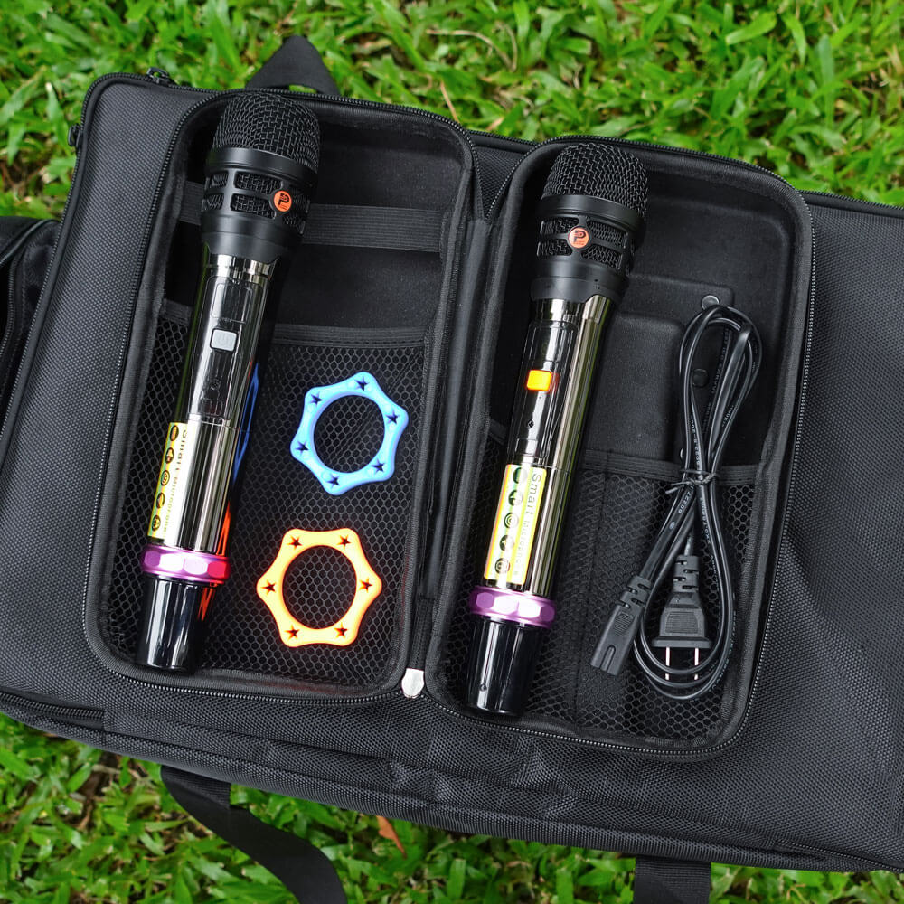 prosing-ps-909-loa-karaoke-di-dong-06