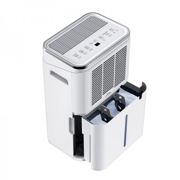 z5095624691106-d5b203f652e4439b40df23d7d81c42c0-600x600